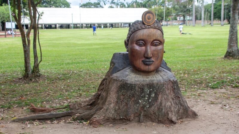 Descarte de RSS em São José dos Campos e Vale do Paraíba