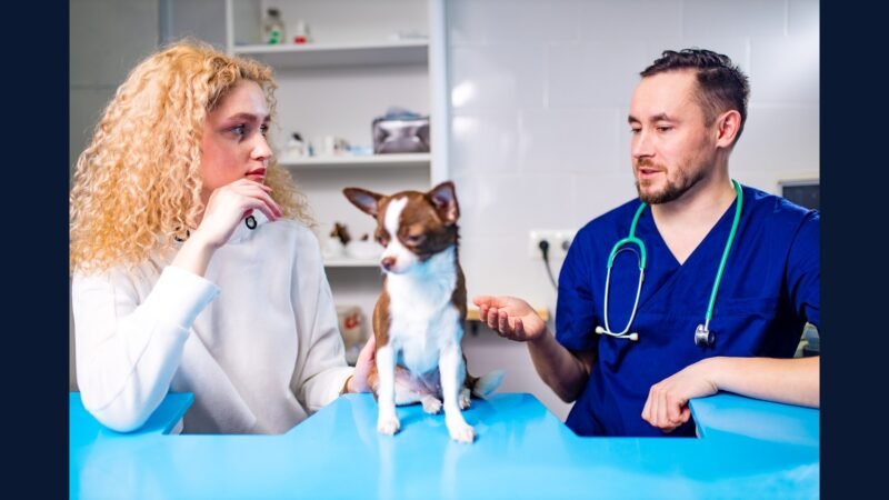 Caso real: clínica veterinária multada por excretas