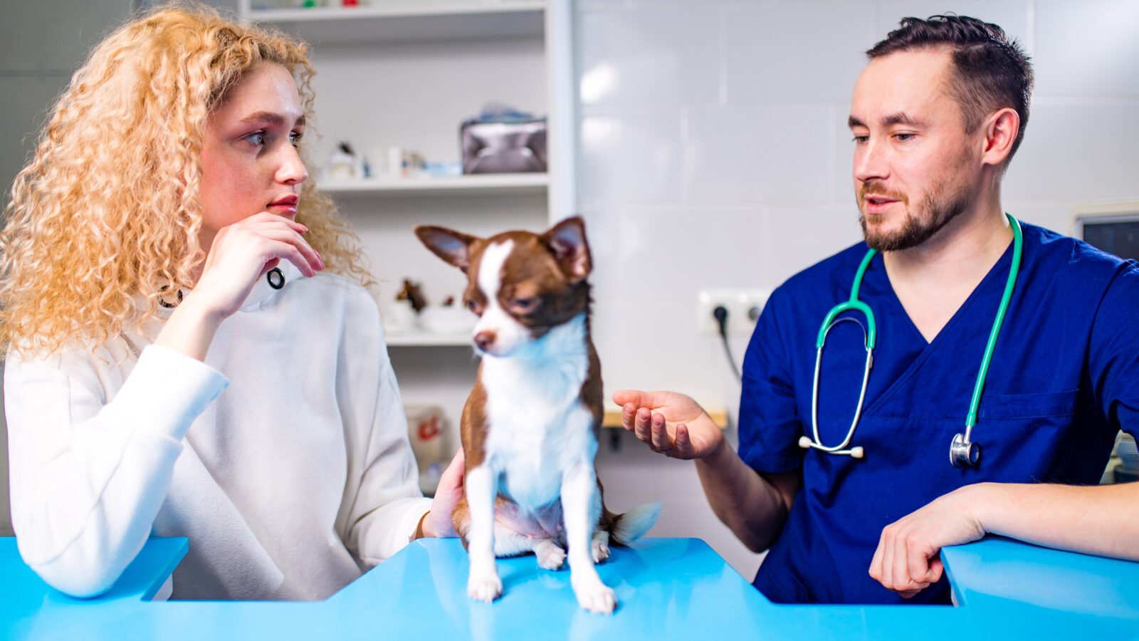 Clínica veterinária e o RSS: o que muda em relação à clínica humana e o que permanece igual