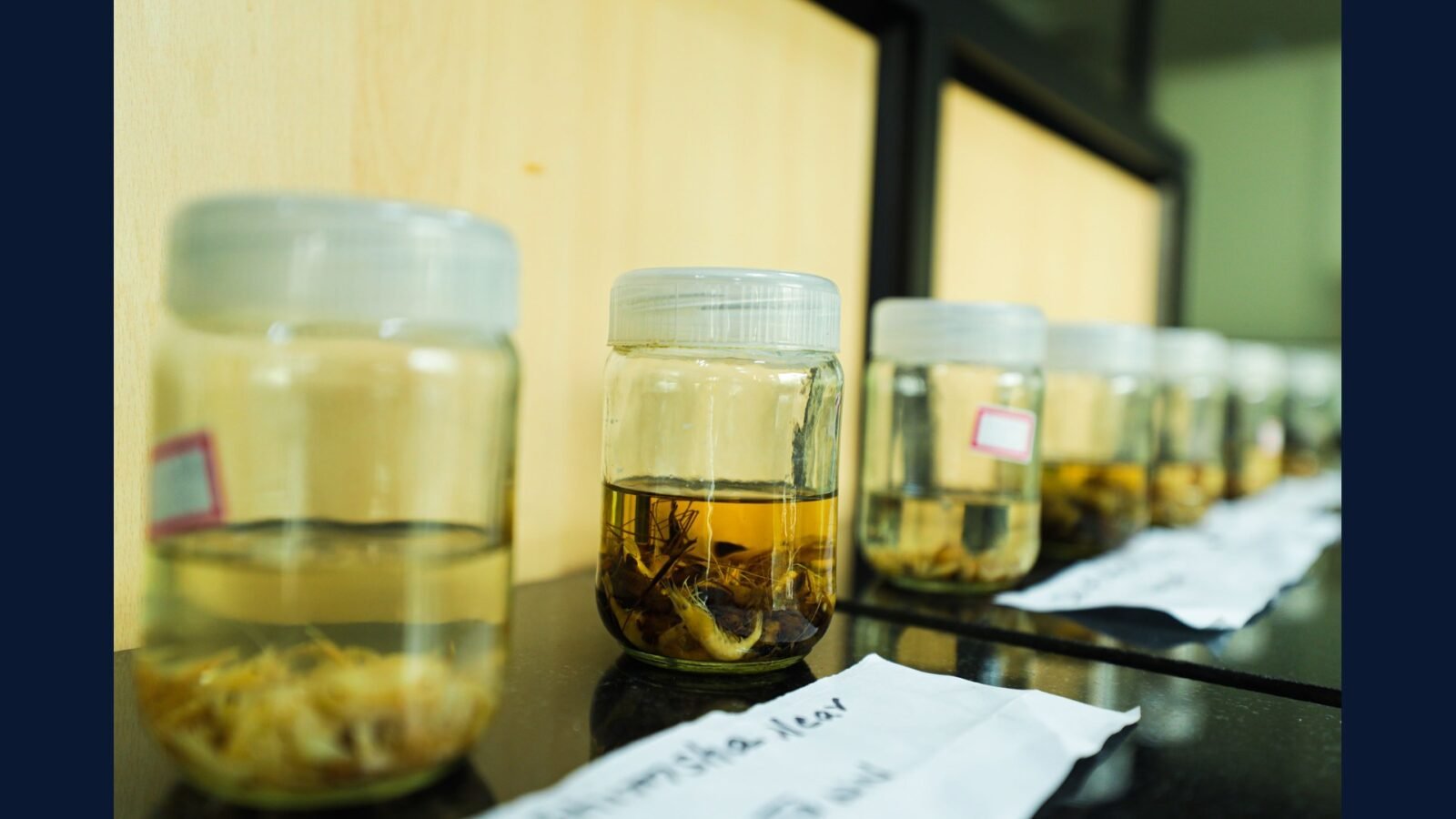Coleta de RSS em Laboratório de Anatomia Patológica