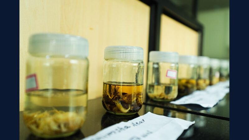 Coleta de RSS em Laboratório de Anatomia Patológica