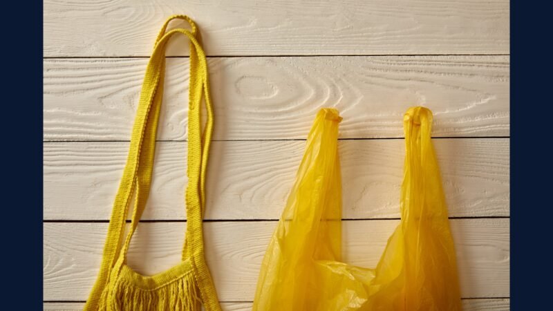 Mito: saco amarelo da drogaria resolve PGRSS