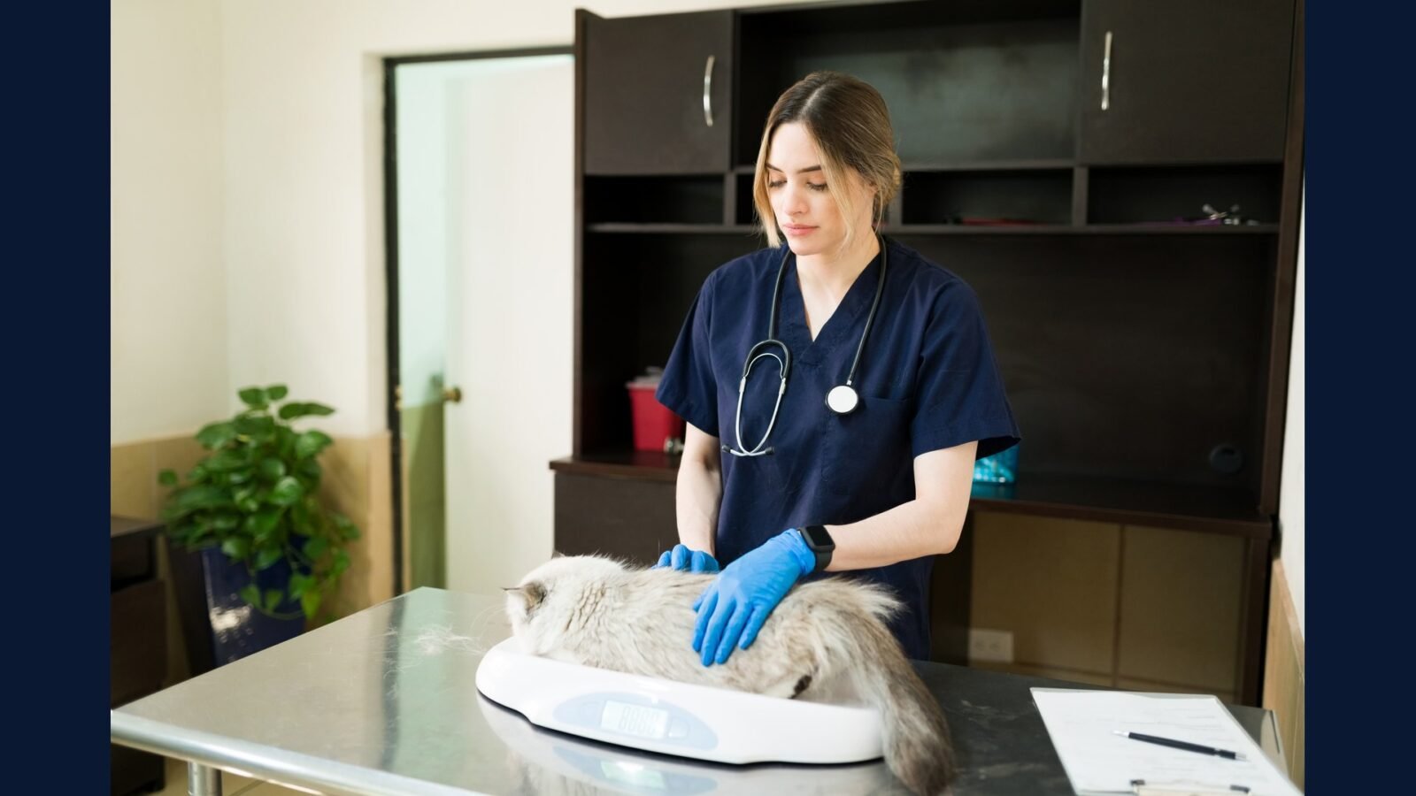 O PGRSS na Clínica Veterinária: o Que Muda