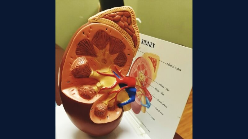 PGRSS adrenal: adrenalec, feocromo, SBRT