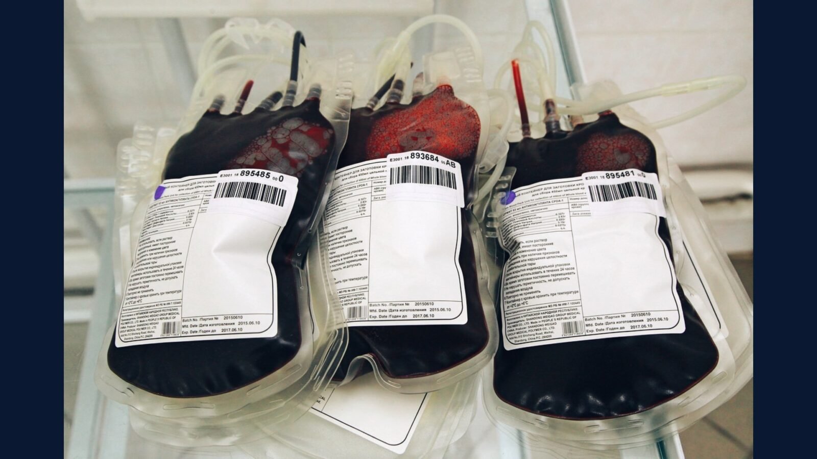 PGRSS para banco de sangue/hemoterapia: regras