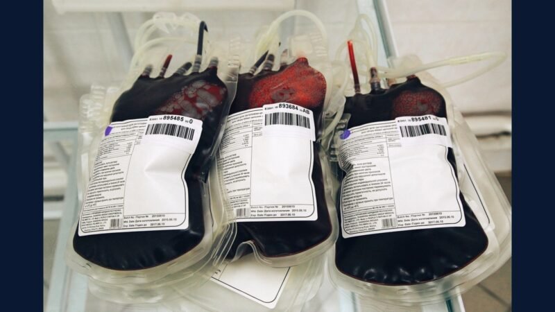 PGRSS para banco de sangue/hemoterapia: regras