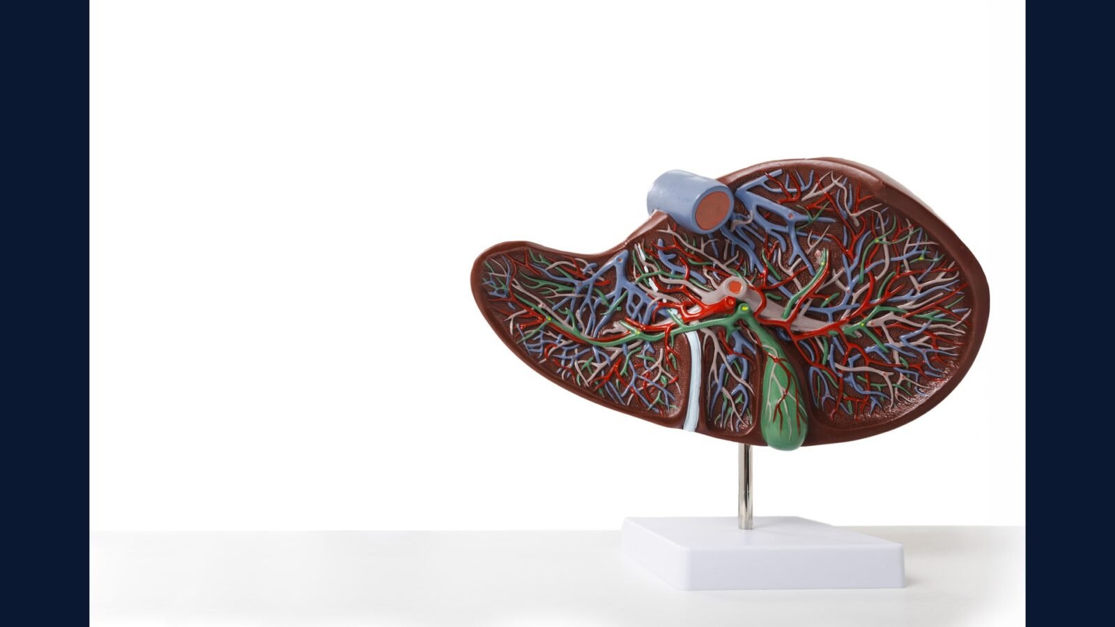 PGRSS hepatologia transplante — seguimento hepático