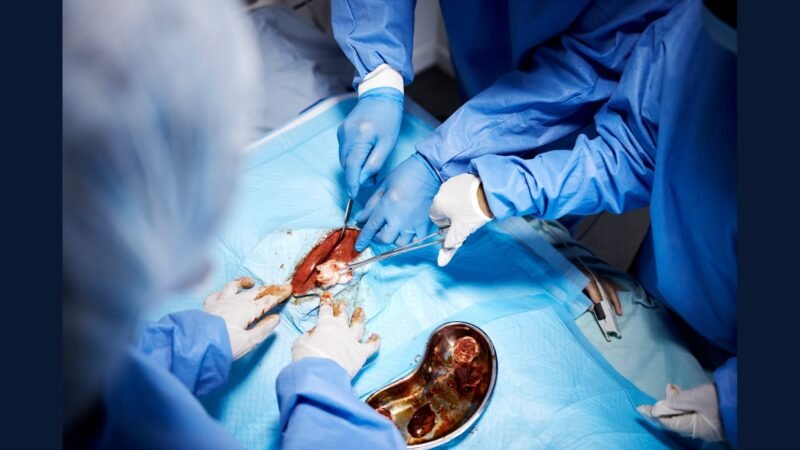 PGRSS nefrologia transplante — seguimento renal
