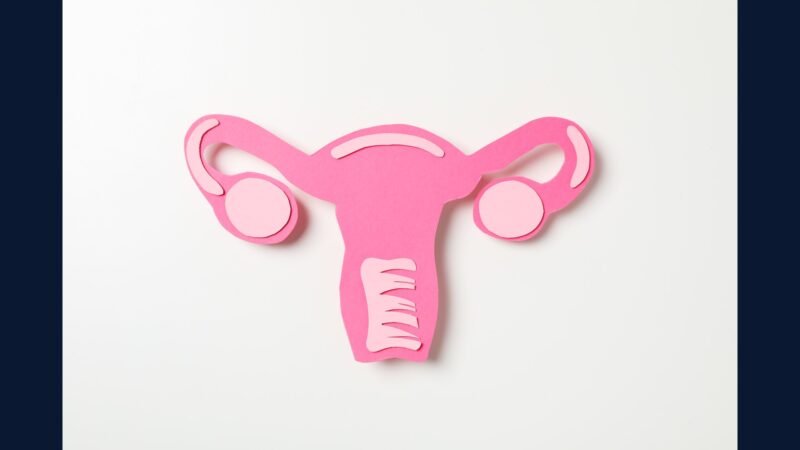 PGRSS endometrial: FIGO, robótica, SLN, RUBY