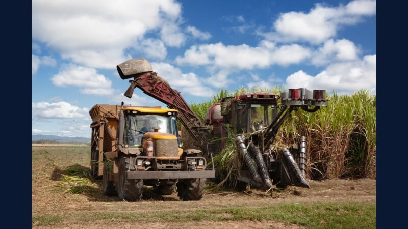 PGRSS para fazenda/agroindustrial com setor saúde