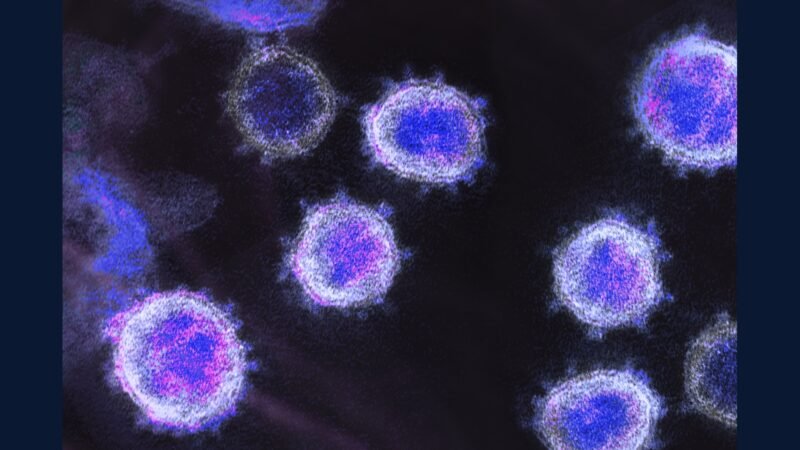 PGRSS infecto: HIV, TB, hepatite, arbovírus
