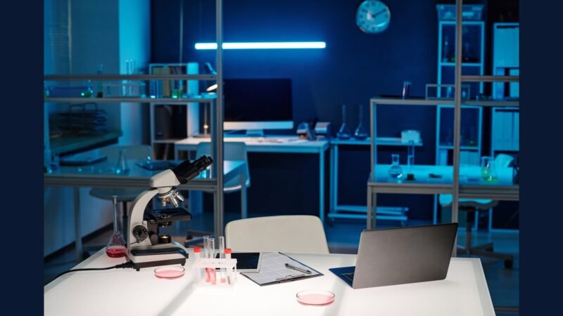 PGRSS innovation: P&D, startup, spin-off