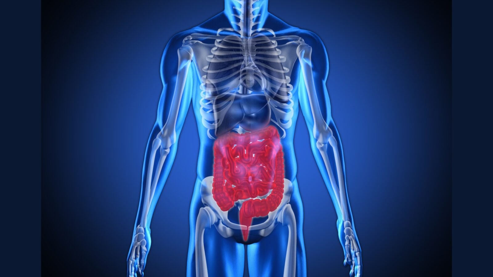 Pancreas: PGRSS FOLFIRINOX NAPOLI-3 Olaparib Whipple