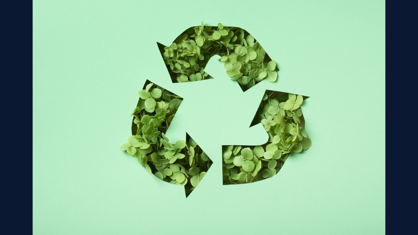 PGRSS sustent circular: economia, EPR, upcycl