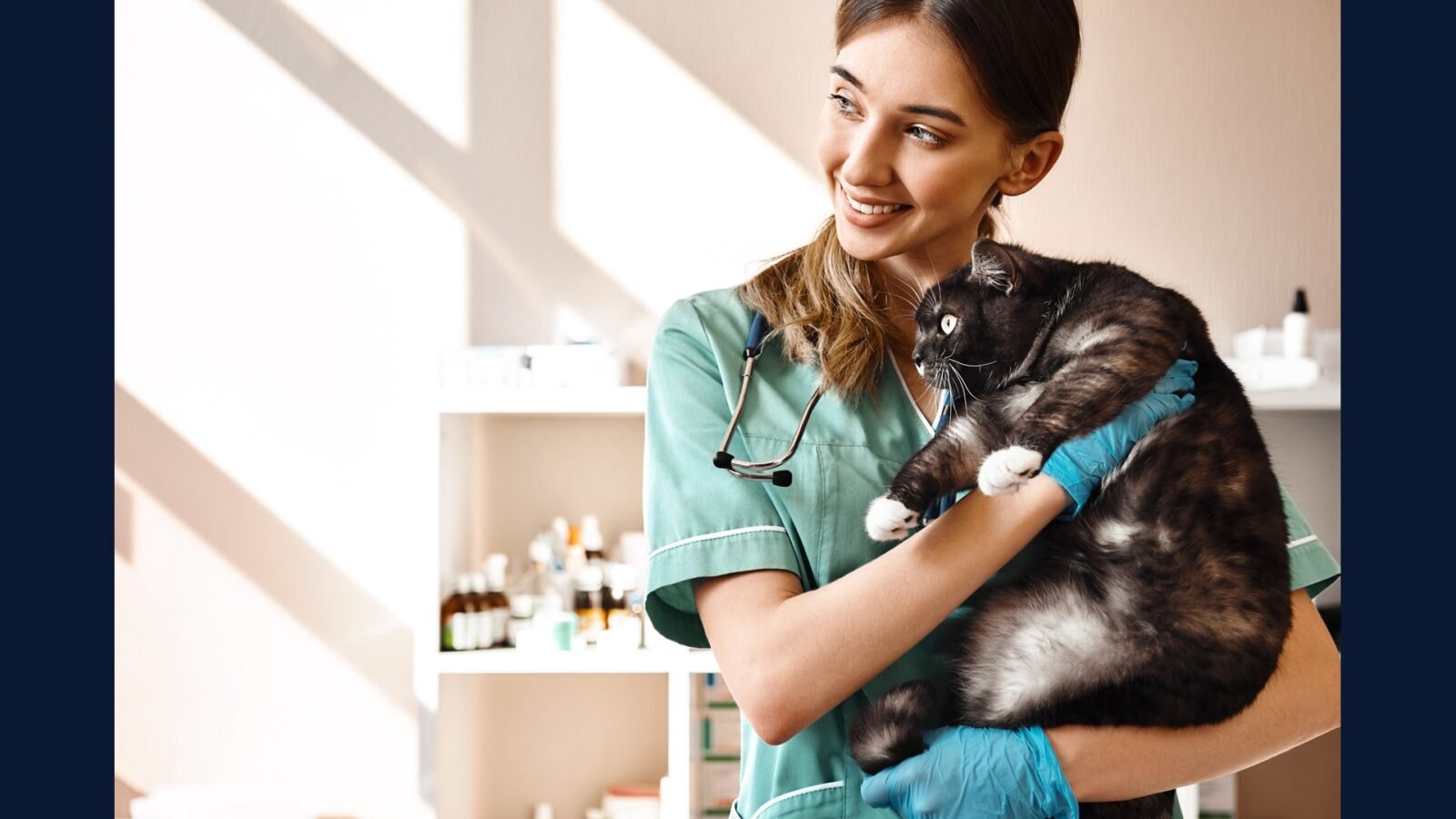 RDC 14: Manipulacao Veterinaria e RSS
