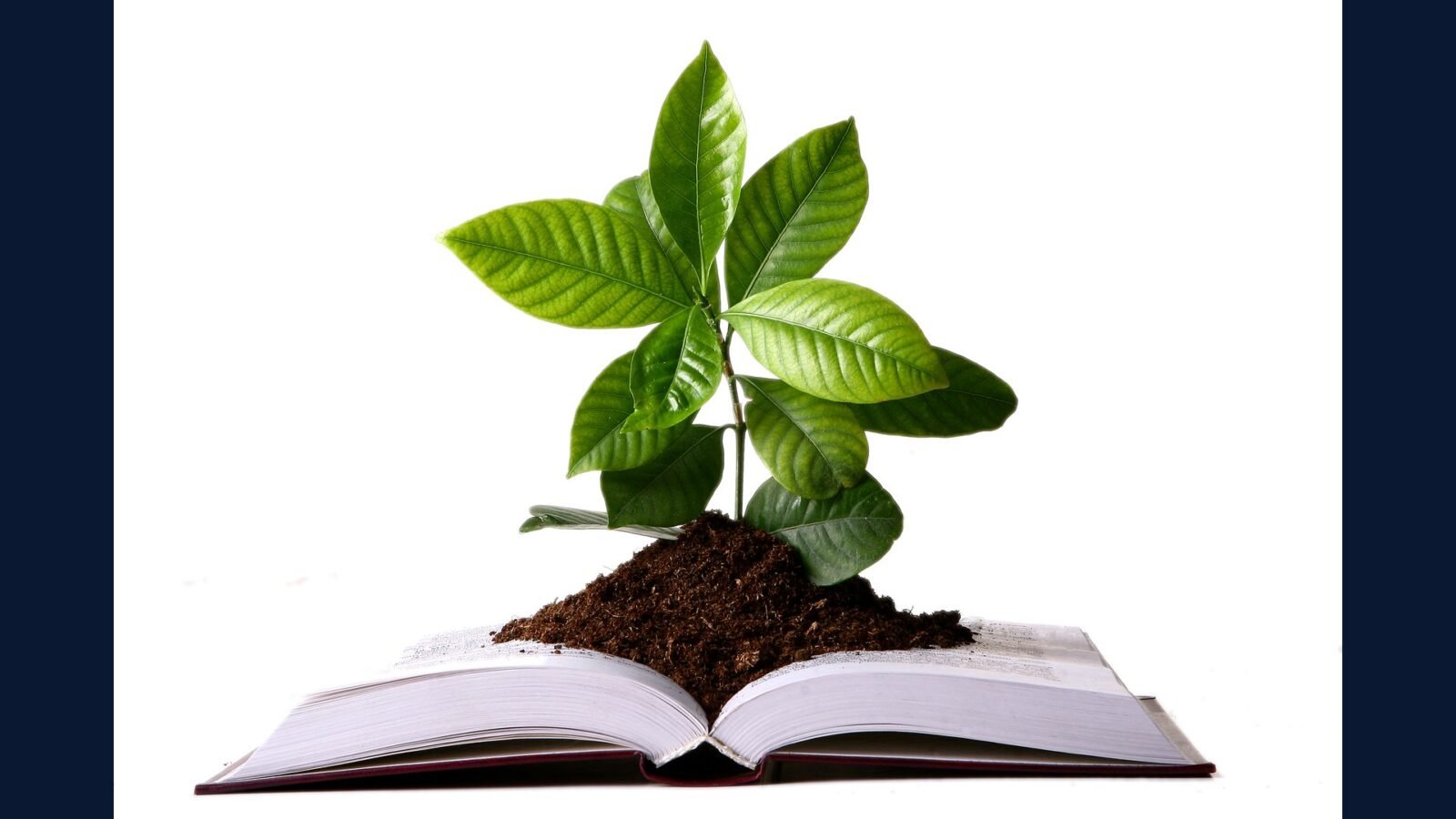 Reciclagem em clínica: o que NÃO é RSS pode ir reciclar