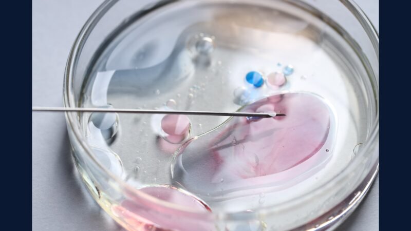 RSS clínica de fertilidade — FIV, ICSI e congelamento
