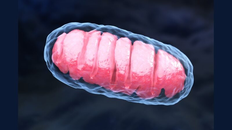 RSS clínica medicina mitocondrial — síndromes raras