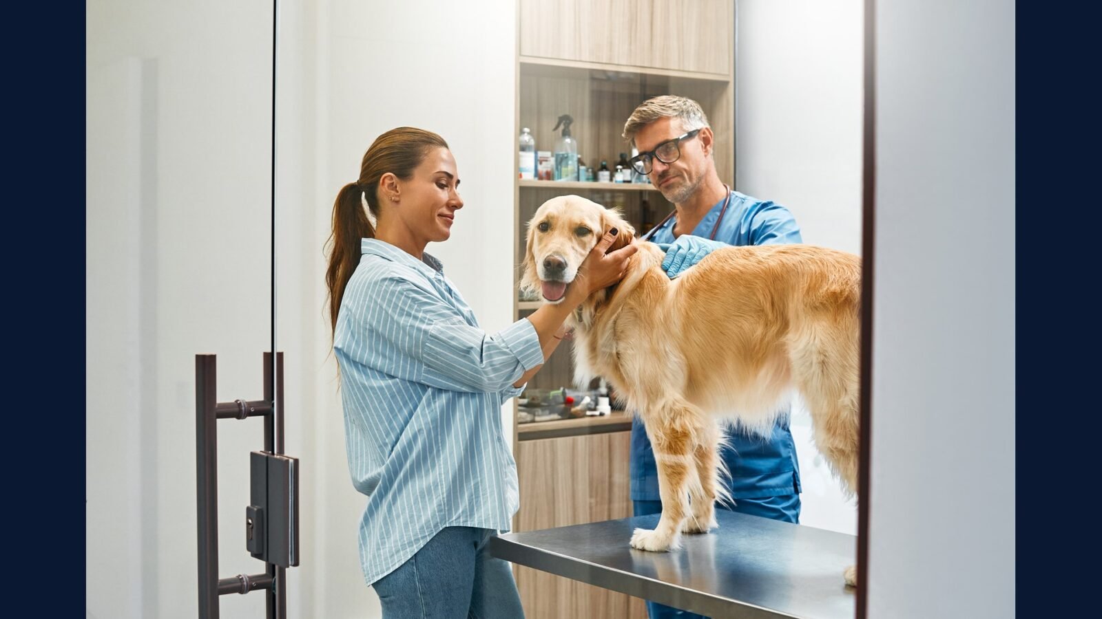 RSS hiperbárica veterinária — cães feridas