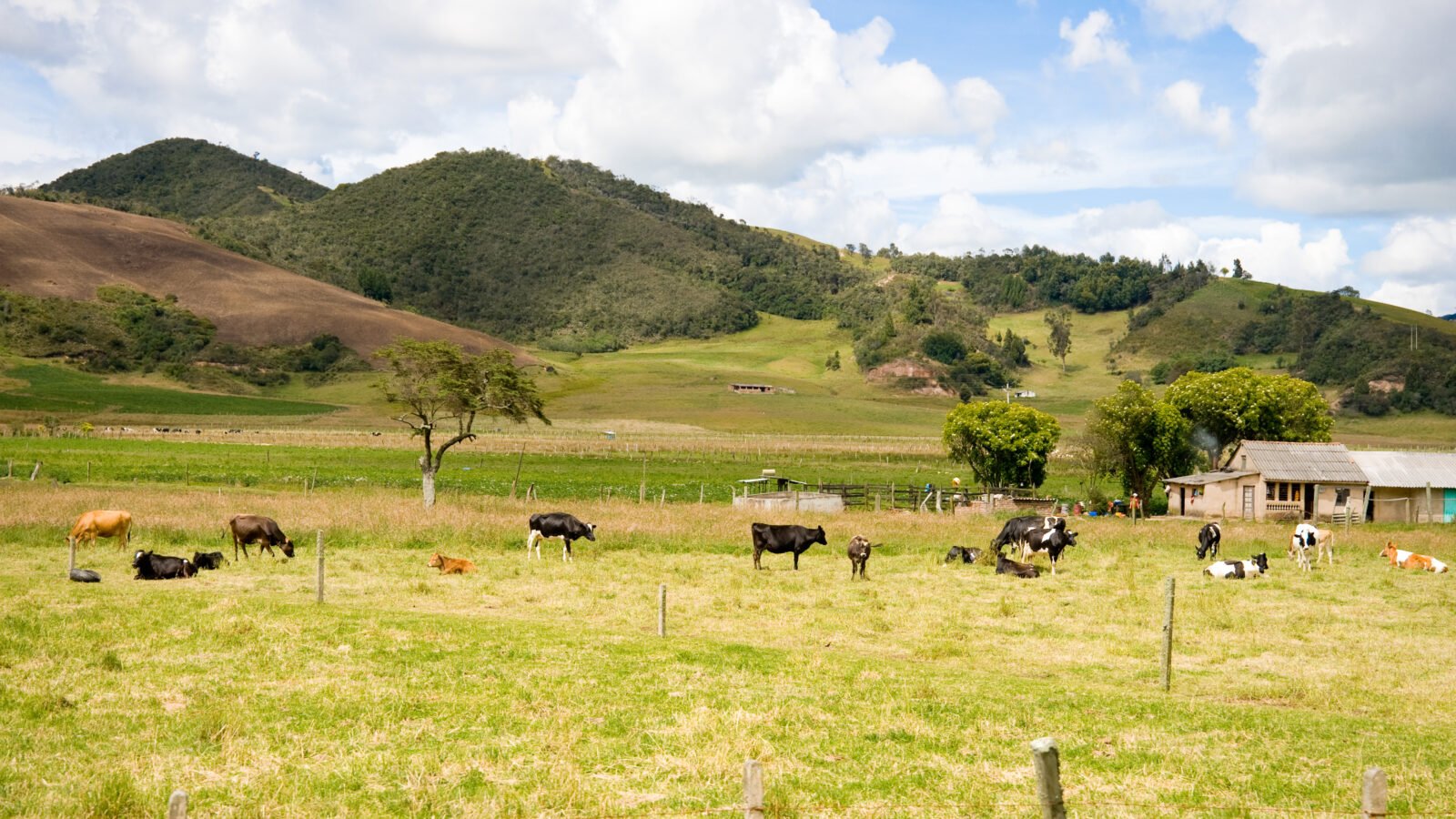 Descarte de RSS em Presidente Prudente e Oeste