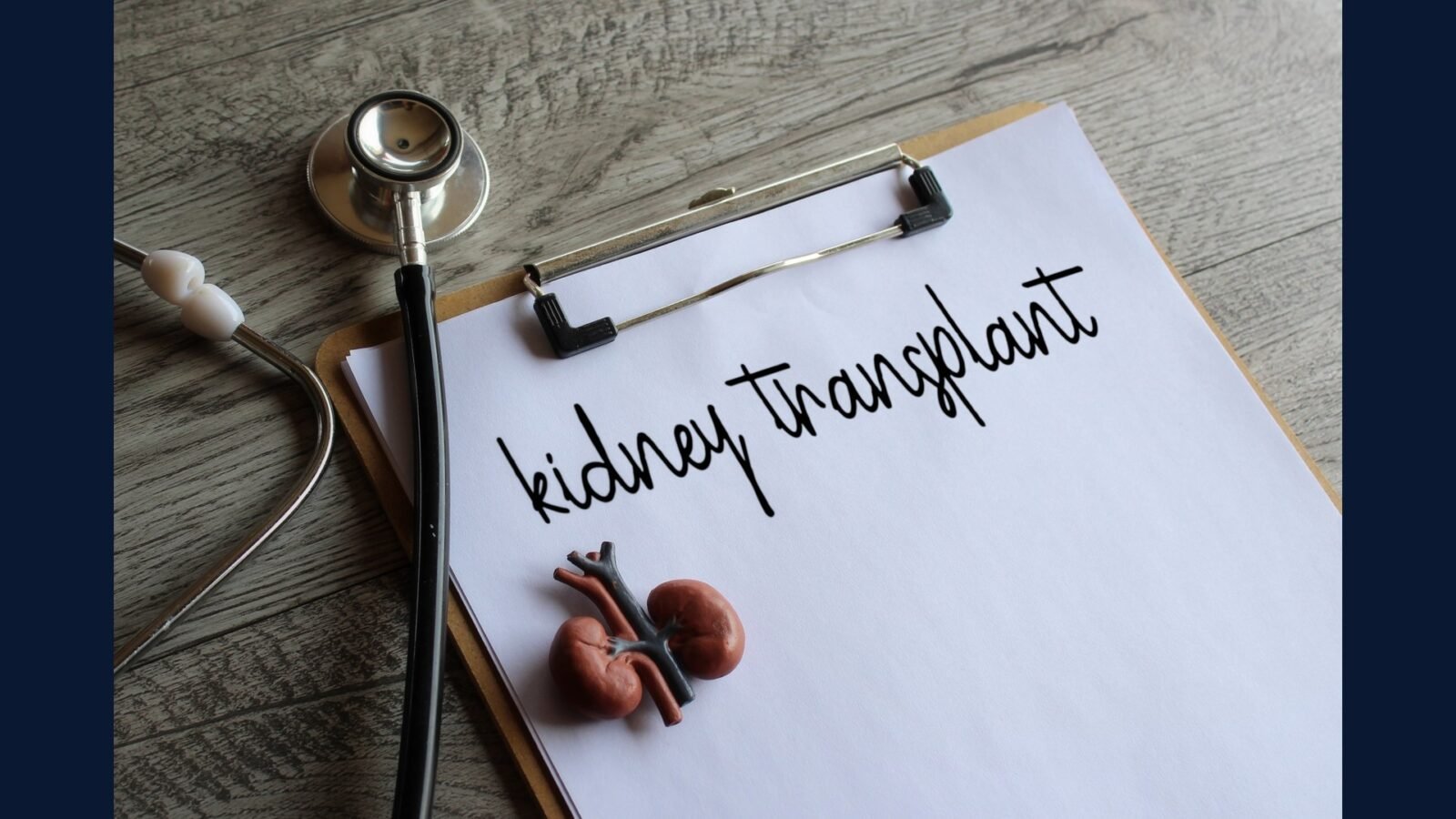RSS transplante renal: vivo, falecido e biópsia