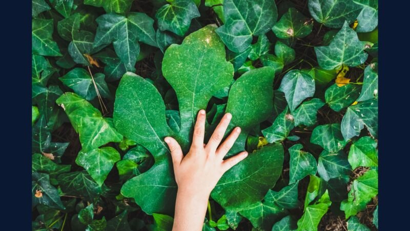 Sustentabilidade na cadeia PGRSS — fornecedor verde