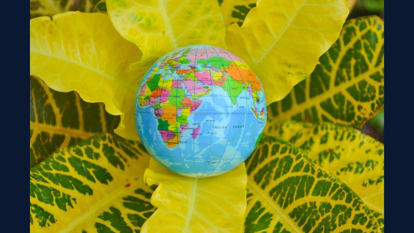 Sustentabilidade PGRSS — pegada de carbono e ESG