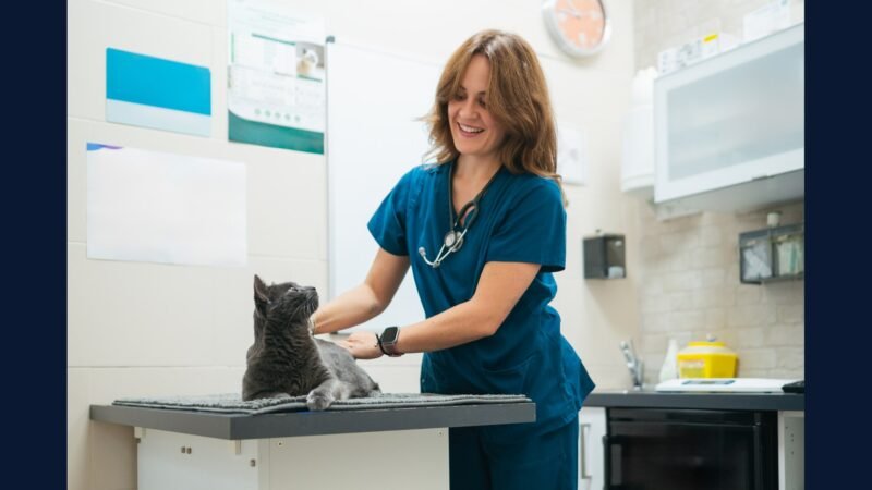 Vigilancia Veterinaria na Coleta de RSS